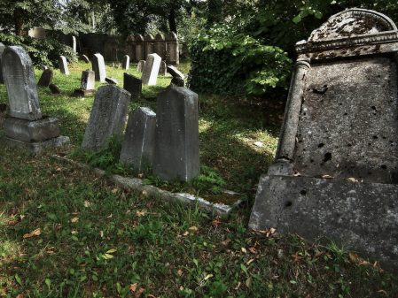 Židovský hřbitov / fotogalerie / Židovský hřbitov v Hranicích