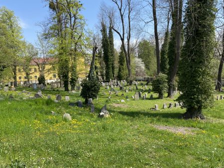 Židovský hřbitov / fotogalerie / Foto: Kateřina Valentová