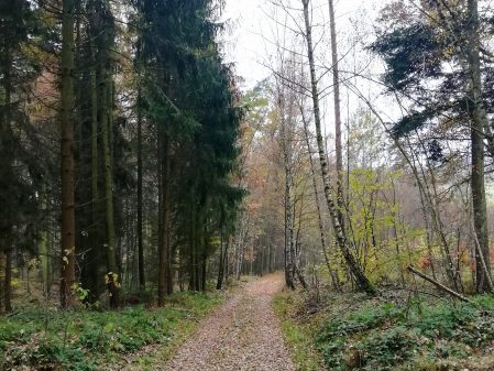 Hraběnčina vyhlídka / fotogalerie / Hraběnčina vyhlídka