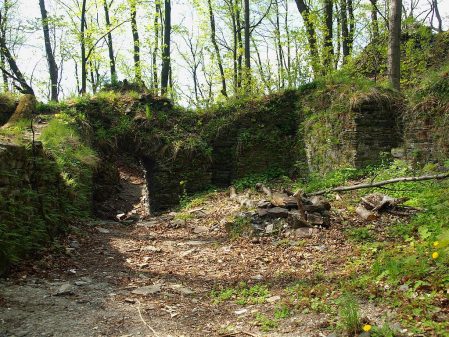 Lesními stezkami ke zřícenině hradu Drahotuch